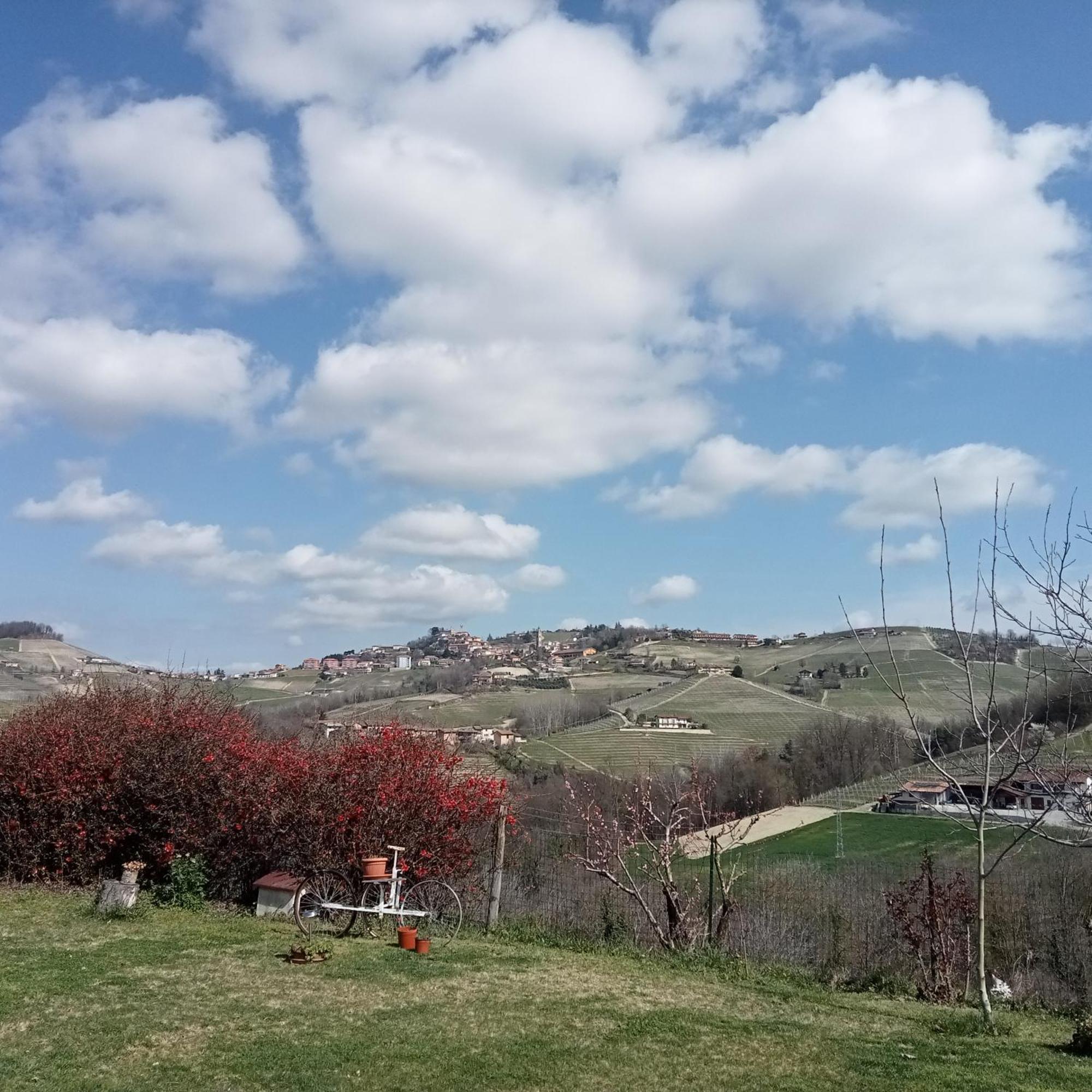 Agriturismo Bric Di Gai 蒙福特达尔巴 客房 照片
