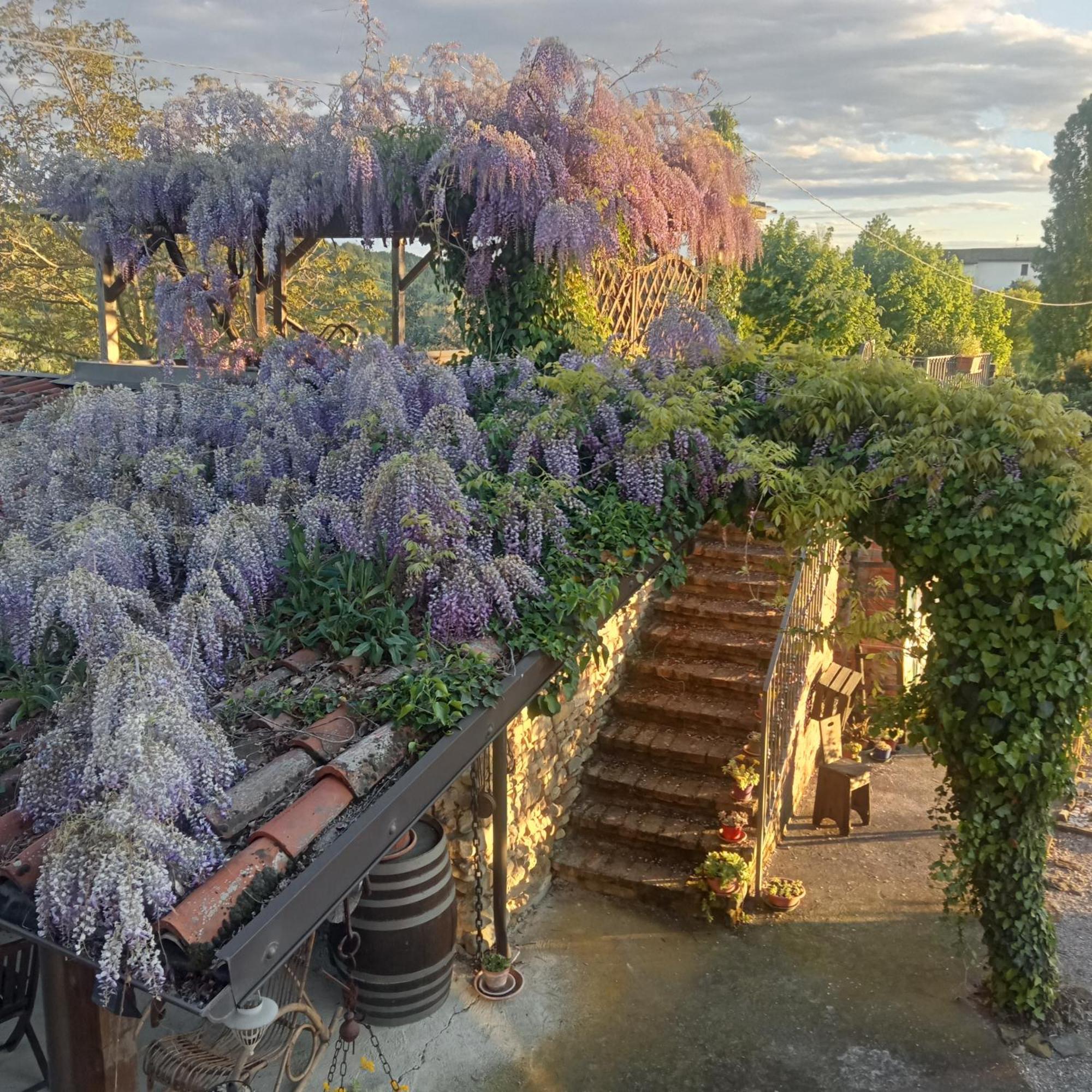 Agriturismo Bric Di Gai 蒙福特达尔巴 外观 照片
