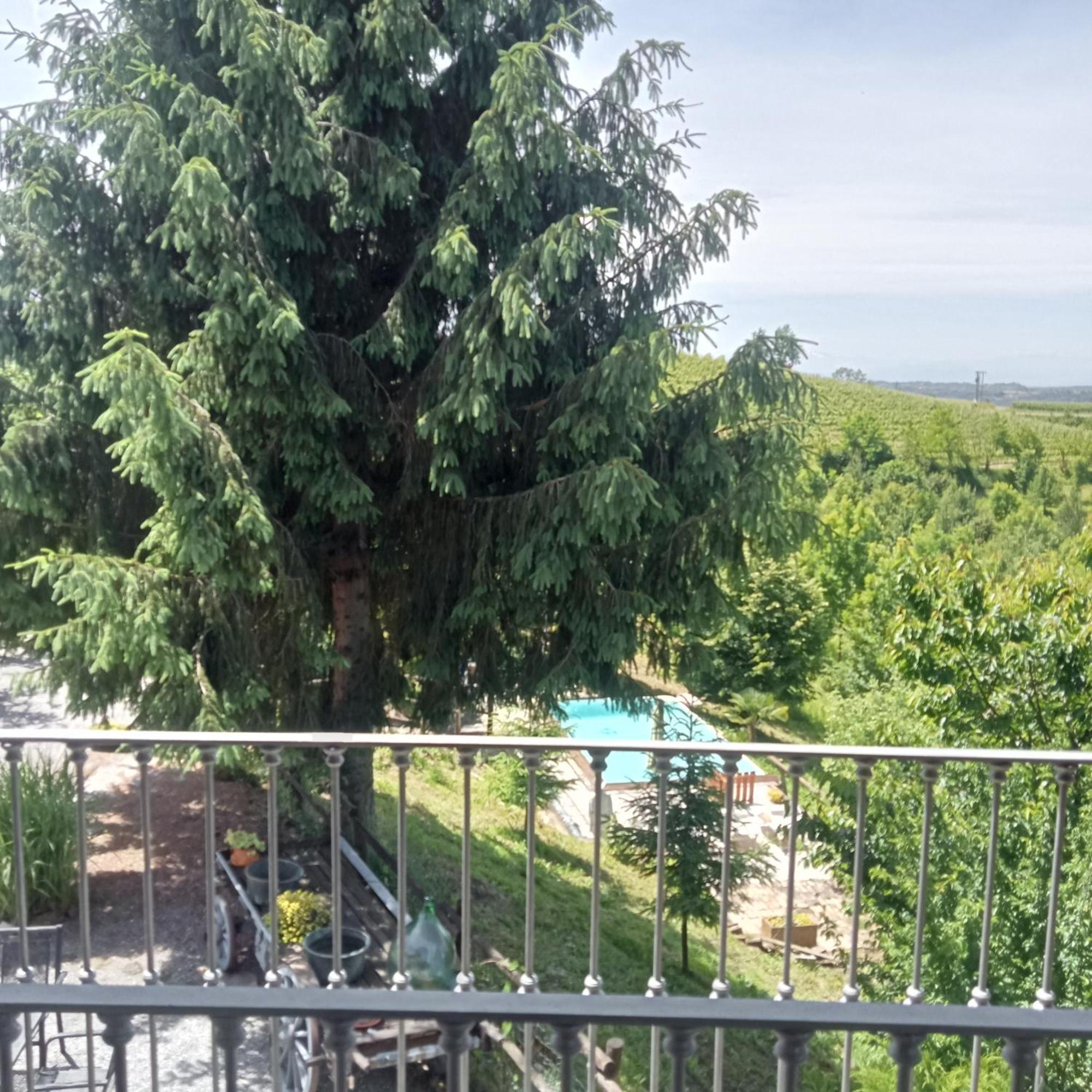 Agriturismo Bric Di Gai 蒙福特达尔巴 外观 照片